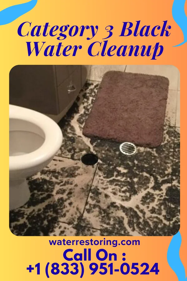 Category 3 Black Water Cleanup in Pataha, WA